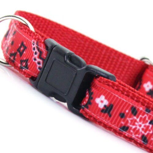 Cat Collar Dog Collar Small Dog Collar Breakaway Collar Etsy