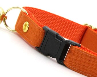 kitty convict collar