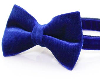 Cat Collar & Bow Tie Set - "Velvet - Sapphire Blue" - Velvet Cat Collar + Blue Velvet Bow Tie (Removable) / Wedding / Cat, Kitten, Dog