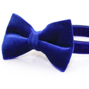 Cat Collar & Bow Tie Set - "Velvet - Sapphire Blue" - Velvet Cat Collar + Blue Velvet Bow Tie (Removable) / Wedding / Cat, Kitten, Dog