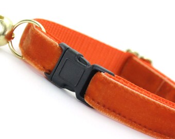 kitty convict collar