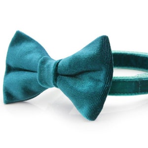 Bow Tie Cat Collar Set - "Velvet - Ocean Teal" - Blue/Green Teal Velvet Cat Collar w/ Matching Velvet Bow Tie (Removable)