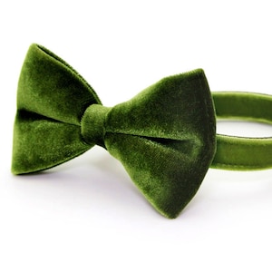 Bow Tie Cat Collar Set - "Velvet - Leaf Green" - Olive Velvet Cat Collar w/ Matching Bow / Spring, Summer, Fall / Wedding / Cat + Small Dog