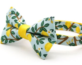 Bow Tie Cat Collar Set - "Lemon Drops" - Rifle Paper Co® Light Blue w/ Lemons Cat Collar w/ Matching Bow / Spring, Summer / Cat + Small Dog