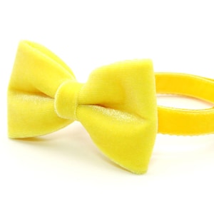 Bow Tie Cat Collar Set - &quot;Velvet - Lemon Yellow&quot; - Light Yellow Velvet Cat Collar + Matching Bow Tie / Wedding / Cat, Kitten, Small Dog