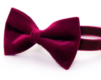 Bow Tie Cat Collar Set - "Velvet - Merlot" - Wine Velvet Cat Collar w/ Matching Bow / Fall / Wedding / Cat, Kitten, Small Dog Sizes