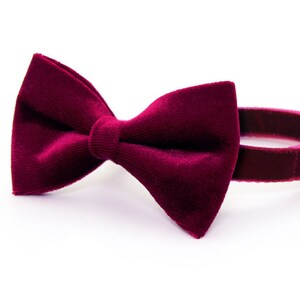Set med flughalsband för katt - "Velvet - Merlot" - Vinrött katthalsband i sammet med matchande rosett / Höst / Bröllop / Katt, Kattunge, Små hundstorlekar