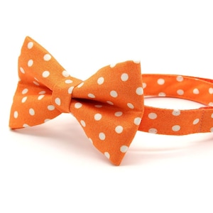 Bow Tie Cat Collar Set - "Polka Dot - Orange" - Glow In The Dark Orange Cat Collar w/ Matching Bowtie / Halloween, Fall / Cat + Small Dog