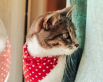 Cat Bandana - "Love Song" - Valentine's Day Heart Bandana for Cat Collar or Small Dog Collar / Slide-on Bandana / Over-the-Collar (One Size)