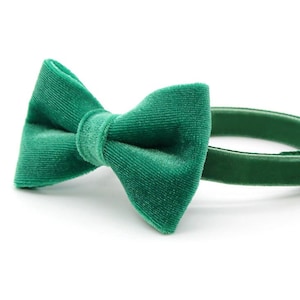 Bow Tie Cat Collar Set - &quot;Velvet - Emerald Green&quot; - Bright Holiday Green Velvet Cat Collar + Coordinating Bow / Wedding / Cat + Kitten Sizes