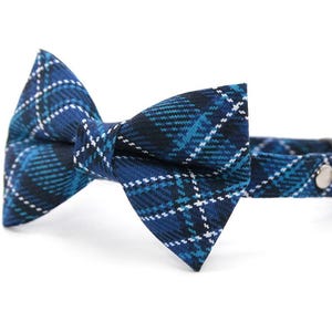 May include: A blue tartan cat collar with a matching bow tie. The collar has a silver bell and a metal clasp. The bow tie and collar feature a navy blue, light blue, and white plaid pattern.