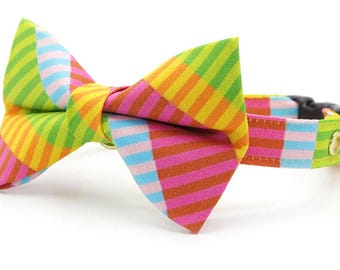 Conjunto de coleira e gravata borboleta listrada para gatos - "Sonho Tecnicolor" - Coleira moderna e divertida com estampa de arco-íris e gravata borboleta combinando / Verão, anos 80 / Gato, gatinho, cachorro pequeno
