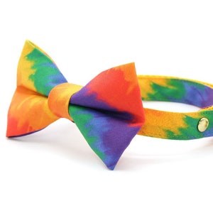 Bow Tie Cat Collar Set - "Celebration" - Ombre Rainbow Cat Collar w/ Matching Bowtie / LGBTQ Pride, Fiesta, Birthday / Cat + Small Dog