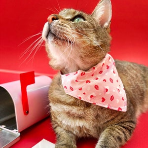 Bandana para gatos - "Sellado con un beso" - Bandana de San Valentín para gatos y perros pequeños / Carta de amor rosa / Bandana deslizante / Sobre el collar