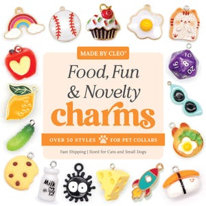 Cat Collar Charm - &quot;Food, Fun & Novelty&quot; - Dog, Fruit, Rocket, Rainbow, Ice Cream, Pickle, Egg, Strawberry, Blueberry, D20, Orange, Lemon