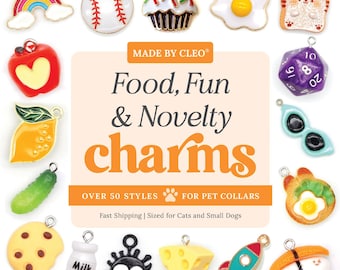 Cat Collar Charm - &quot;Food, Fun & Novelty&quot; - Dog, Fruit, Rocket, Rainbow, Ice Cream, Pickle, Egg, Strawberry, Blueberry, D20, Orange, Lemon