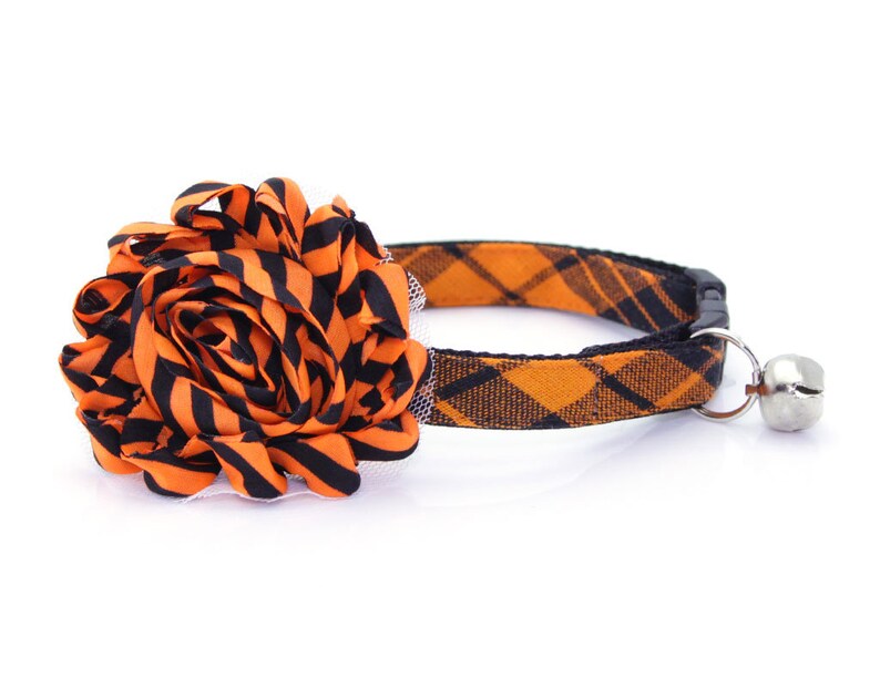 Kitten Small Dog Halloween Cat Collar Black /& Orange Plaid Cat Collar Fall Cat Collar Breakaway or Non-Break Cat Hocus Pocus