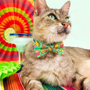 May include: A tabby cat wearing a green bow tie patterned with tacos, avocados, and other Mexican food items. A margarita with a lime wedge sits next to the cat. The background includes a colorful fan and a striped blanket.