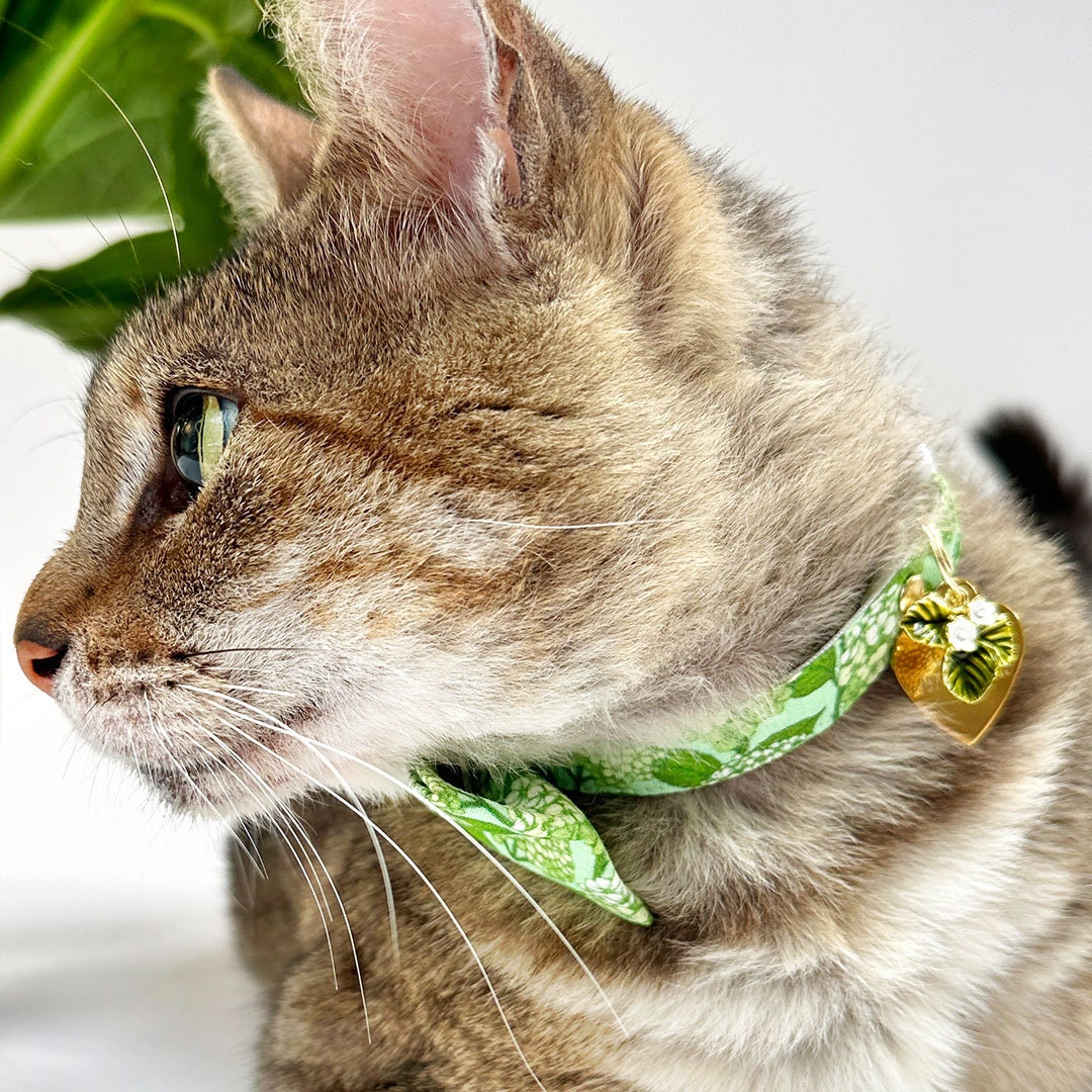 蝶ネクタイ猫用首輪セット - 「アジサイの丘」 - ボタニカルグリーンの
