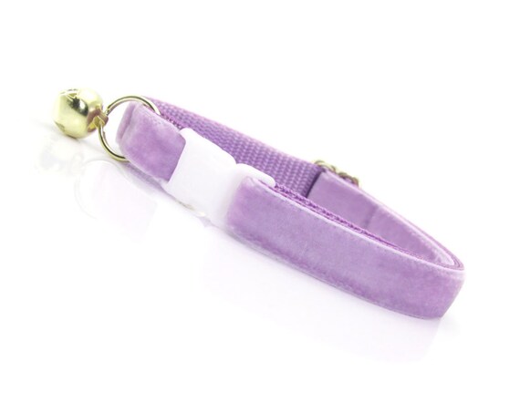lavender cat collar
