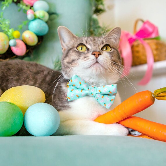Easter Cat Bow Tie bunnies Carrots Blue Light Aqua Bunny Bow Tie for Cat Collar Spring Cat Kitten Small Dog Bow one Size Etsy UK