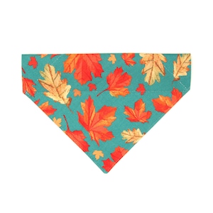 Cat Bandana Maple Hill Autumn Leaves Bandana for Cat Small Dog / Teal, Maple Leaf / Fall, Thanksgiving, Canada / Slide-on Bandana image 2