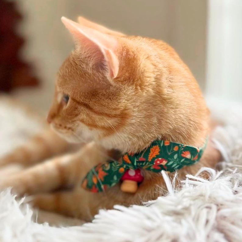 BoomBone Weihnachts-Katzenhalsband – 2 Stück, Mit Glöckchen Und Anhänger, Verstellbar 17-28 Cm