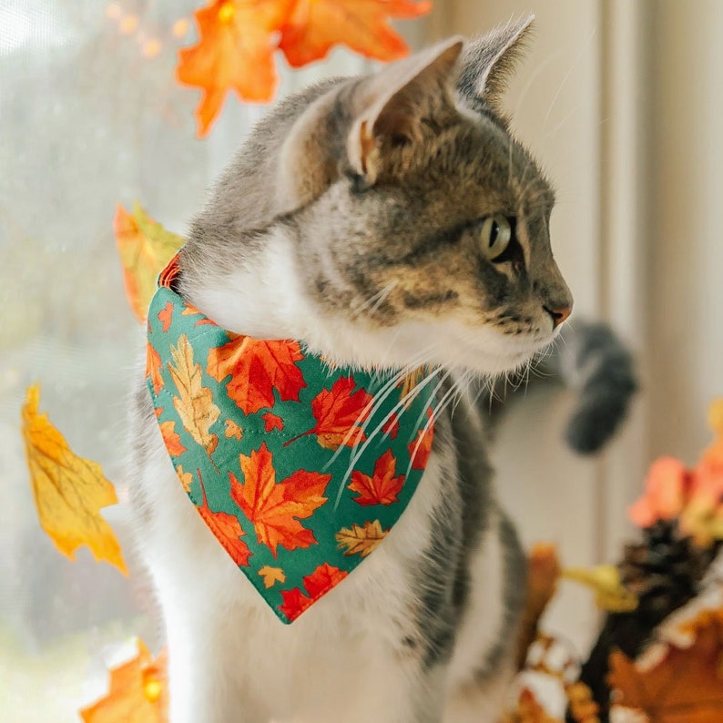 Cat Bandana Maple Hill Autumn Leaves Bandana for Cat Small Dog / Teal, Maple Leaf / Fall, Thanksgiving, Canada / Slide-on Bandana image 1