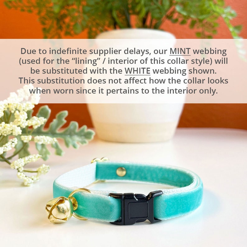 Cat Collar velvet Seafoam Light Turquoise Etsy