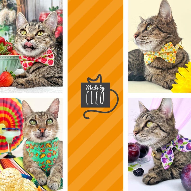 Food Cat Collar + Bunny Ear Bow Set - 