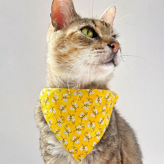 猫用バンダナ - 「Show Me The Honey」 - 猫と小型犬用イエロービー