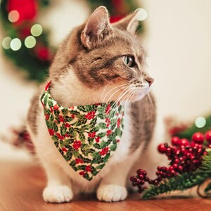 May include: A gray and white cat wearing a green and red holly-patterned bandana. The cat is sitting on a wooden surface with red berries and green leaves in the background.