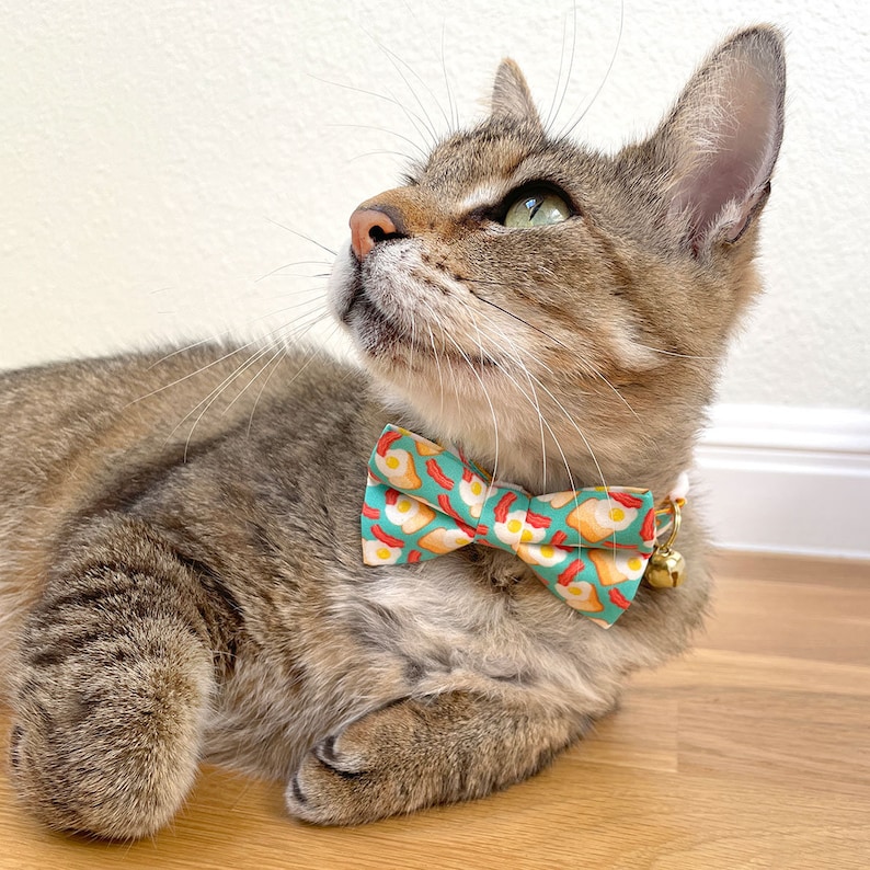 K&ouml;nnte beinhalten: Eine Tabby-Katze tr&auml;gt eine blaugr&uuml;ne Fliege mit einem Muster aus gelben Eiern und rotem Speck. Die Fliege hat eine goldene Glocke.