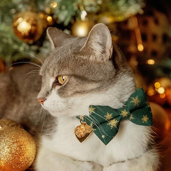 cat christmas bow tie