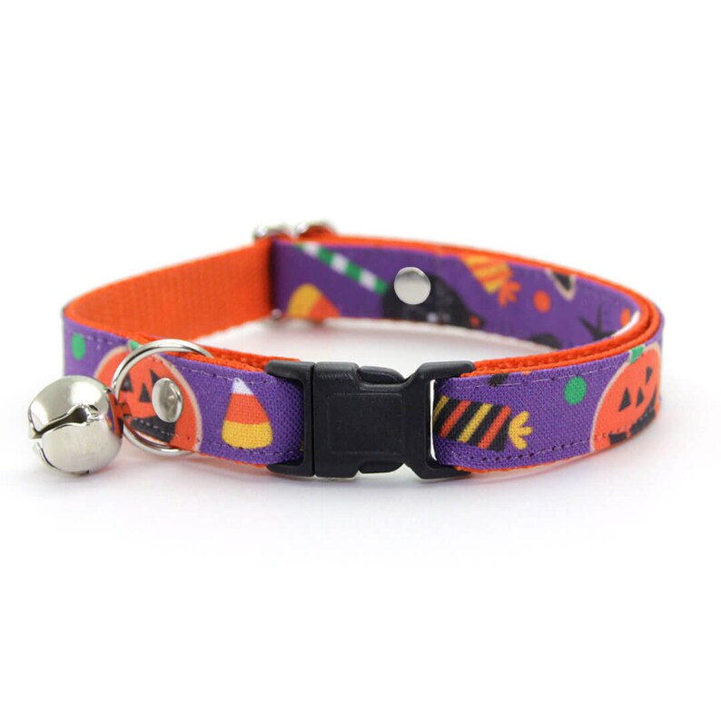 May include: A purple and orange cat collar with a Halloween theme. The collar features pumpkins, candy corn, and bats. It has a bell attached and a black plastic buckle.