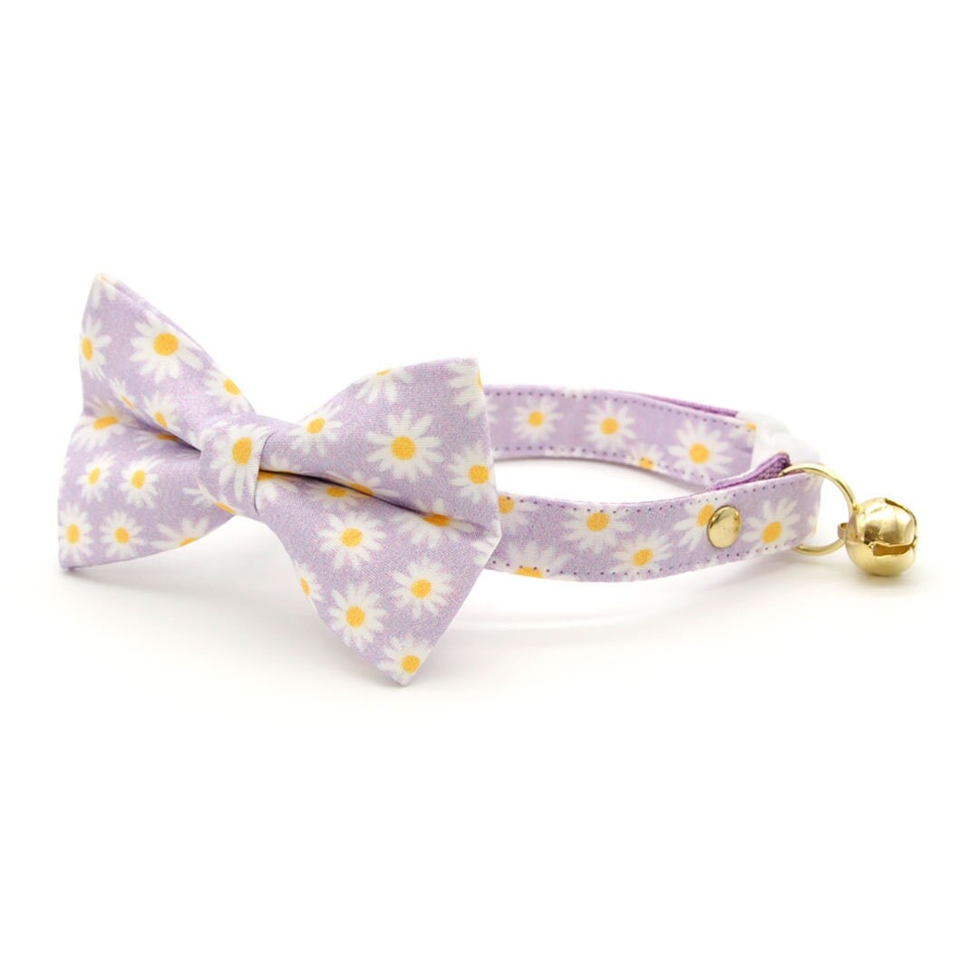 Bow Tie Cat Collar Set daisies Purple Floral Daisy Cat Collar W