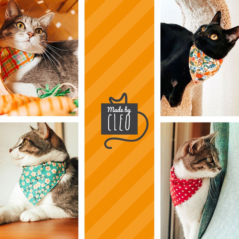 Small Dog Mother/'s Day Slide-on Bandana Over-the-Collar Cat Bandana Cherry Blossoms Teal Mint Spring Floral Bandana for Cat
