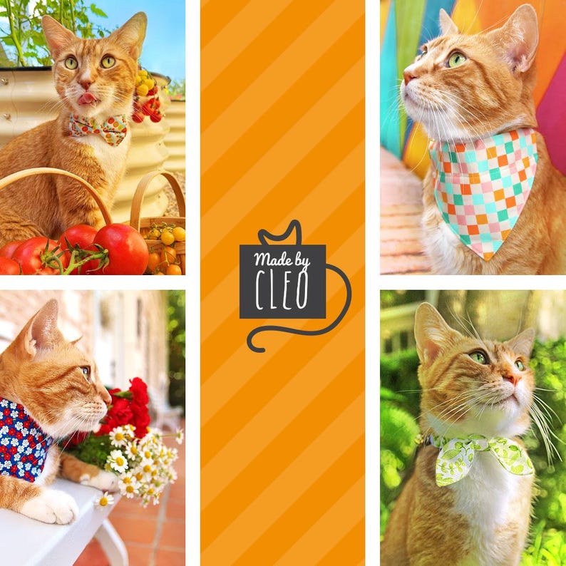 May include: A collage of orange tabby cats wearing colorful bandanas and bow ties. The cats are in various outdoor settings, with one licking its lips. The center panel features the text "Made by CLEO" on a black background.