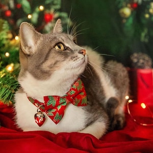 Holiday Bow Tie Cat Collar Set - &quot;Crimson Berry&quot; - Elegant Christmas Red Holly Cat Collar w/ Matching Bowtie / Cat, Kitten, Small Dog Sizes