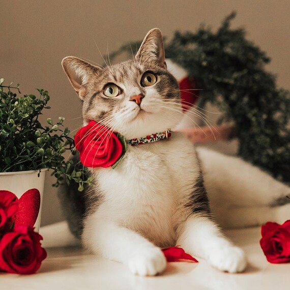 Cat Collar Flower Set antique Rose Red Mini Etsy