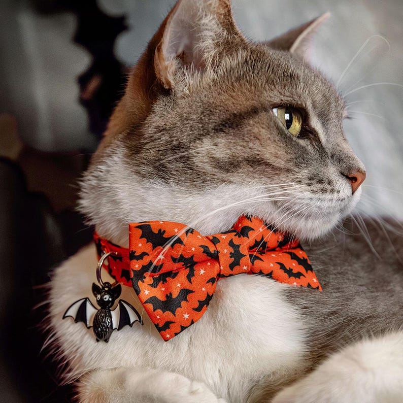 May include: A cat collar featuring an orange fabric bow tie with a black bat and white star pattern. The collar includes a metal ring attached to a small, black and white enamel bat charm that hangs down from the front of the collar band.