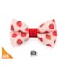 see more listings in the Bow Ties section