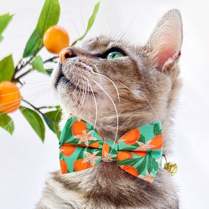 Cat Bow Tie Clementine Blossom Mint Green & Orange Citrus Bow Tie for Cat Collar / Spring, Summer, Tropical / Cat Small Dog Bowtie image 2