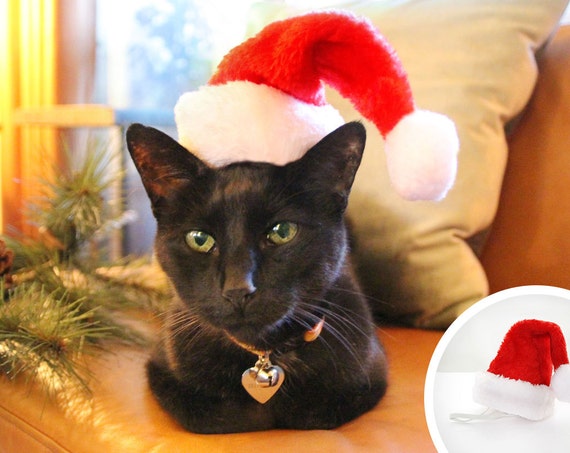 Cat with tiny santa clearance hat