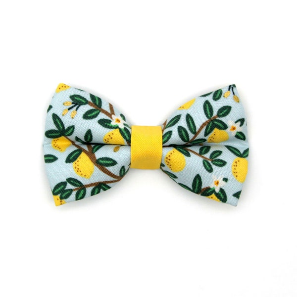 Cat Bow Tie - "Lemon Drops" - Rifle Paper Co® Light Blue w/ Lemons Bow Tie for Cat Collar / Spring + Summer / Cat, Kitten, Small Dog Bow