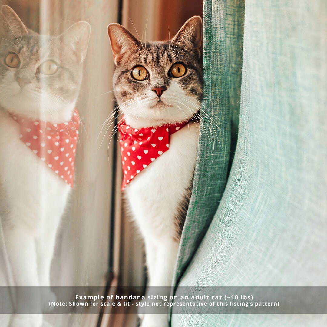 Cat Bandana - Cat Bandana -