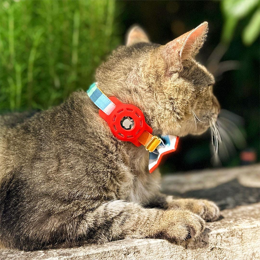 Collare per gatti AirTag, Collare integrato per gattino con supporto