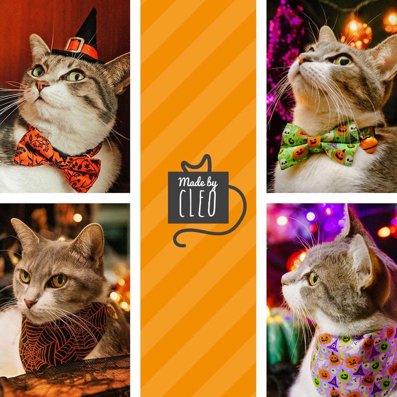 Op de afbeelding: Een verzameling van vier katten met Halloween-accessoires, waaronder een zwarte heksenhoed, een oranje vlinderdas met zwarte patronen, een groene vlinderdas met pompoenprints en twee bandana's met patronen. Het centrale logo toont Made by CLEO.