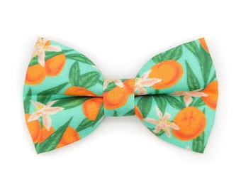 Cat Bow Tie - "Clementine Blossom" - Mint Green & Orange Citrus Bow Tie for Cat Collar / Spring, Summer, Tropical / Cat + Small Dog Bowtie