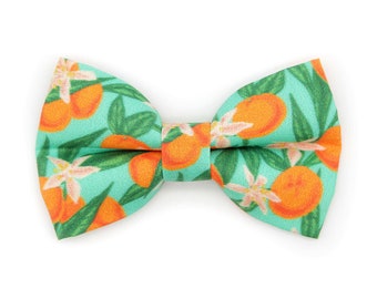 May include: A green bow tie with a pattern of orange citrus fruit and white blossoms.